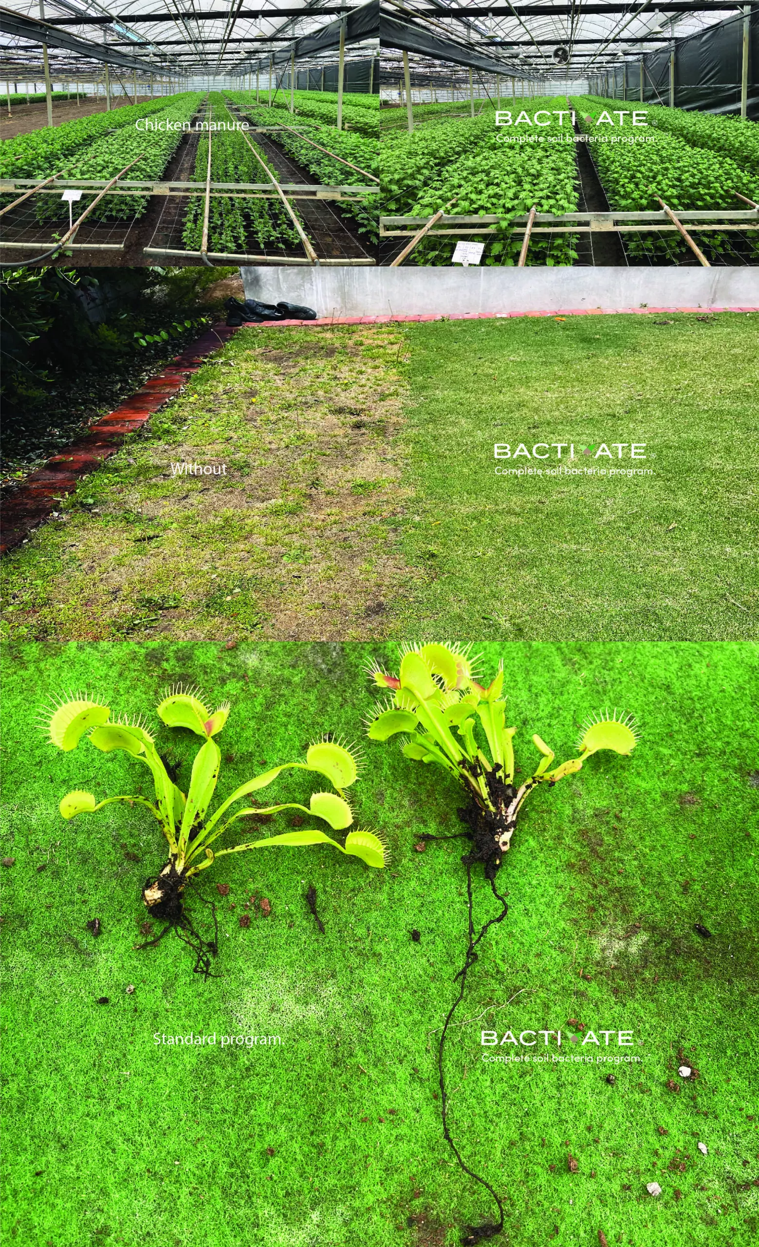 Bactivate side by side-02